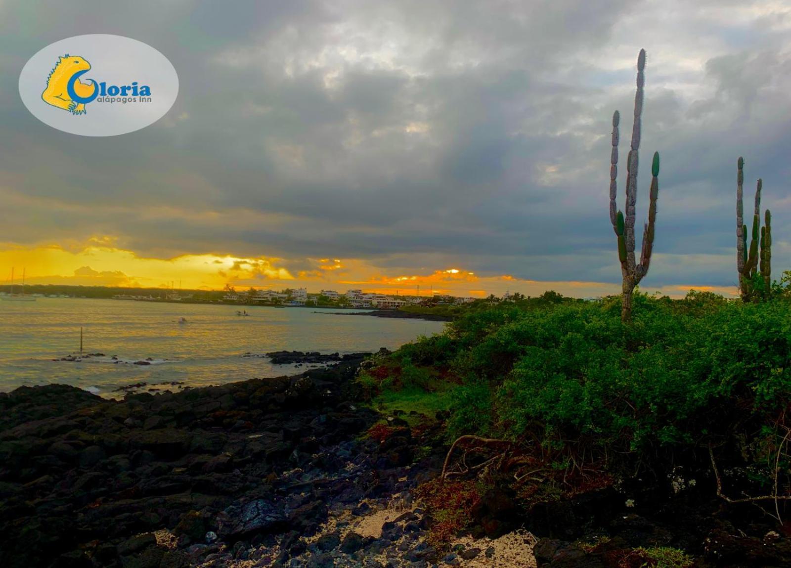 Gloria - Galapagos Inn Puerto Ayora  Eksteriør billede